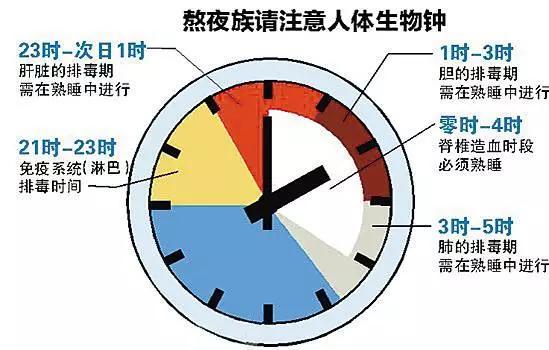 三个月小孩睡眠时间的深度解析