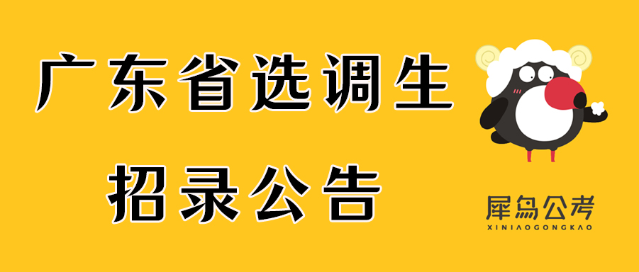 广东省选调生报名公布，新的人才选拔起点