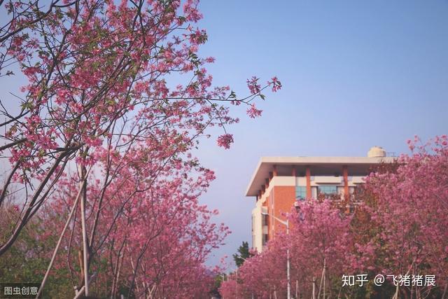 广东省韶关大学，历史底蕴与现代风采的完美结合