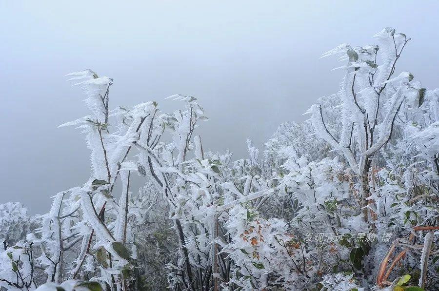 广东冰雪商贸有限公司，探索、创新与发展的冰雪商业之路