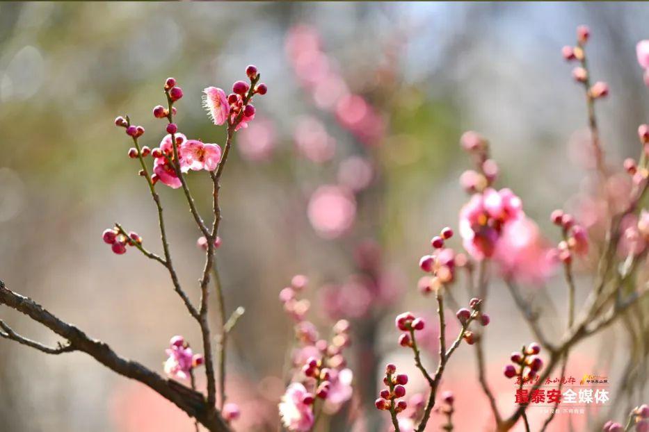 广东省青少年，活力四溢的未来之星