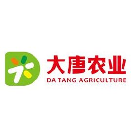 广东大唐农业有限公司，引领现代农业，铸就辉煌篇章