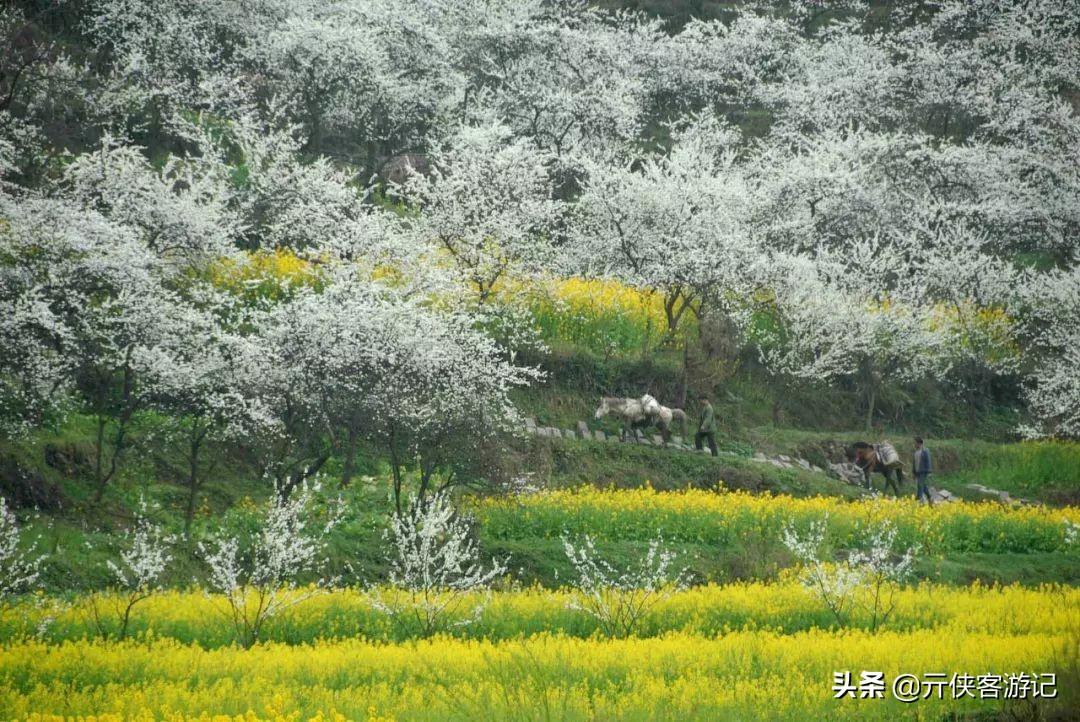 广东省金海重工盖章的重要性及其流程解析